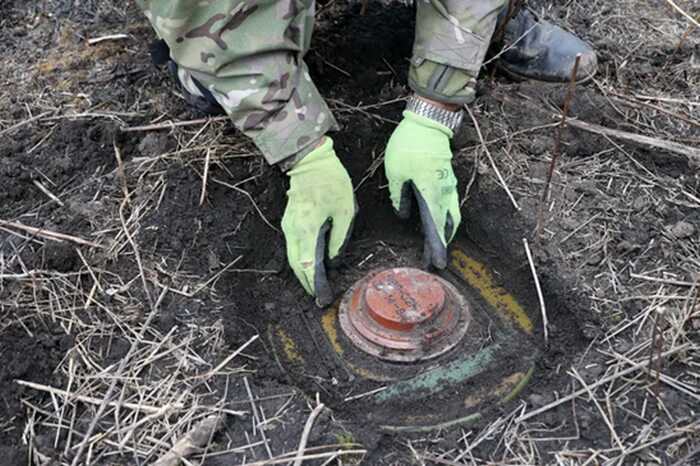 Пять стран НАТО планируют создать минные поля вдоль российской границы