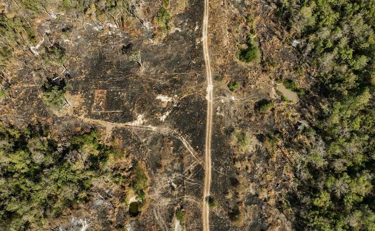 A secret drug traffickers airstrip discovered in the heart of the Chaco