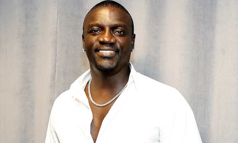 Рэпер Akon ударил охранника по лицу прямо во время концерта в Сочи